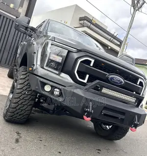 Ford F-150 2021 Gray