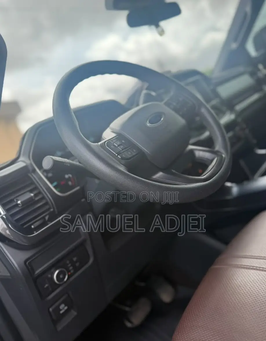 Ford F-150 2021 Gray