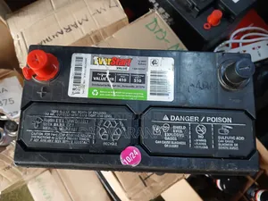 Everstart American Car Battery