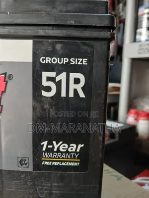 Everstart American Car Battery
