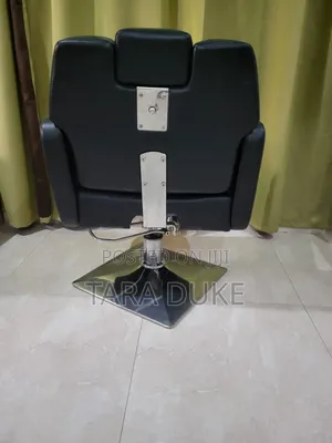 Premium Professional Styling/Barber Chair