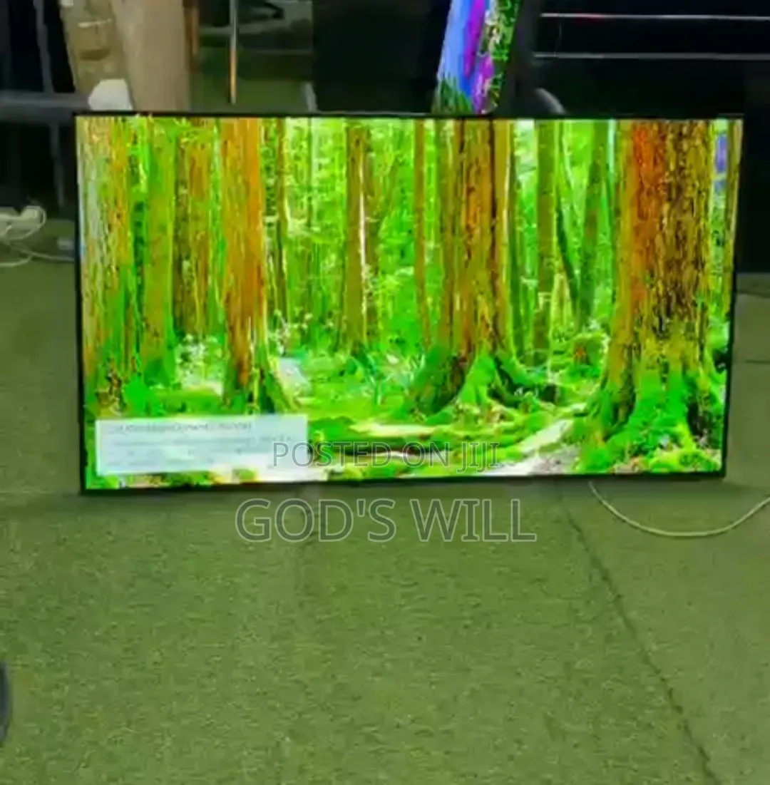 European Standard LG Oled 55c7 – Straight From Europe!
