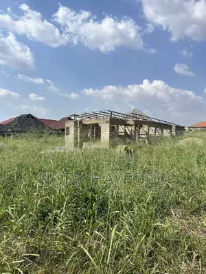4 Bedrooms and 5 Washrooms Uncompleted Building on a Half Plot