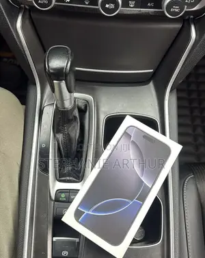 Apple iPhone 16 Pro Max 256 GB Gray