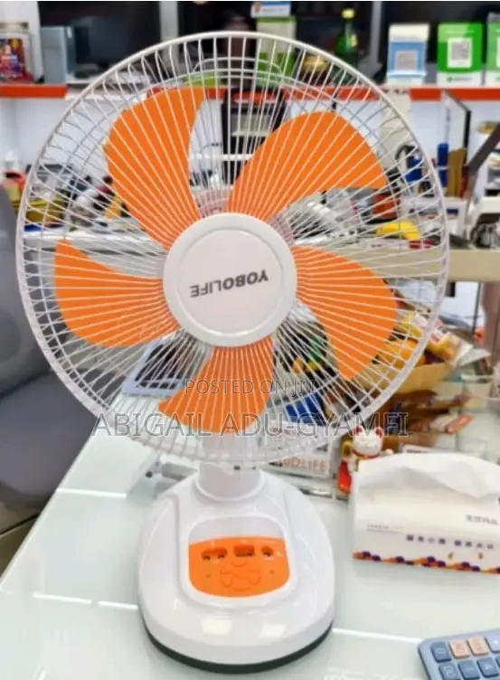 Rechargeable Fan