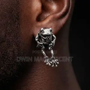 Stainless Hip Hop Earrings (Pair)