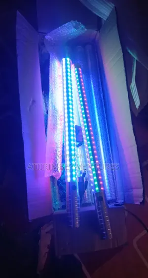 60Cm Champagne Led Light Multicoloured
