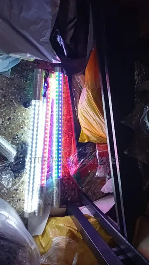 60Cm Champagne Led Light Multicoloured