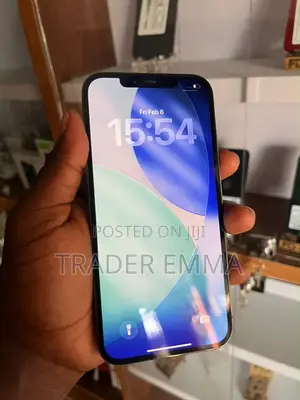 Apple iPhone 12 Pro Max 128 GB Gray