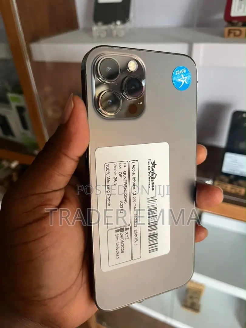 Apple iPhone 12 Pro Max 128 GB Gray
