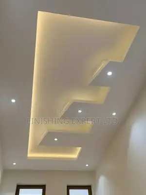 P.O.P Ceiling Expert