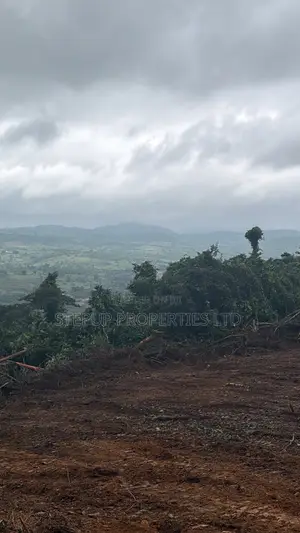 Registered Plots at Aburi for Sale