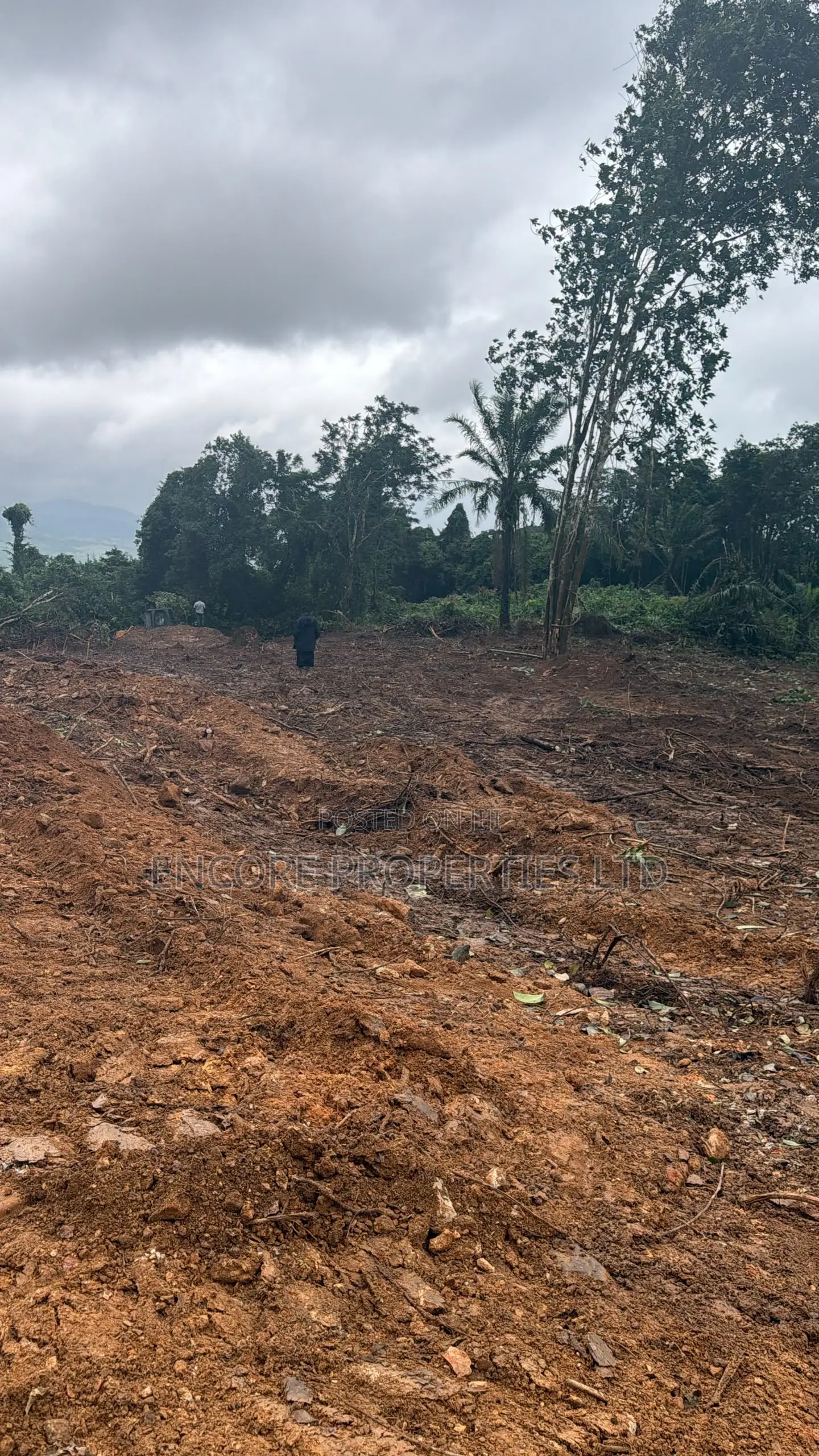 Registered-Acre Plots for Sale in Aburi