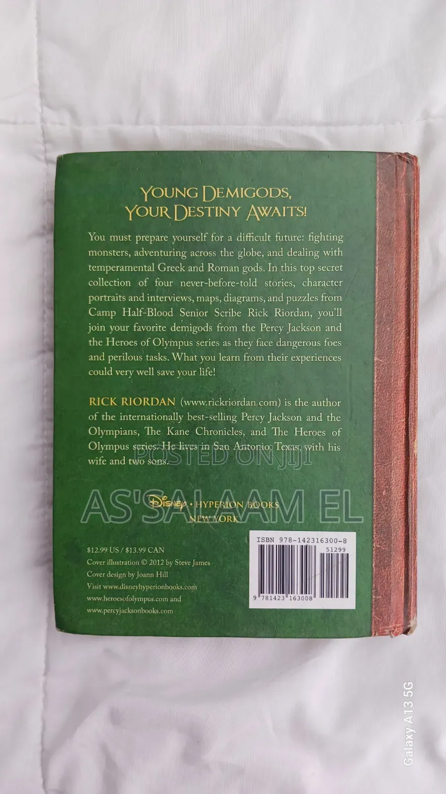 The Demigod Diaries – Rick Riordan (Used, Good Condition)