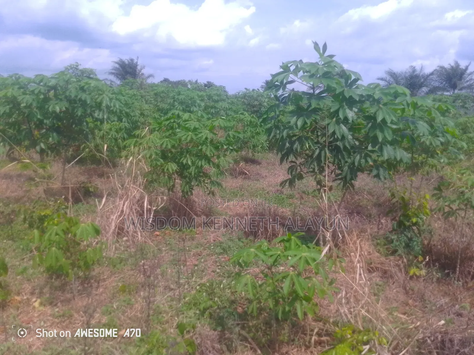 40 Plots of Land at TETEREM