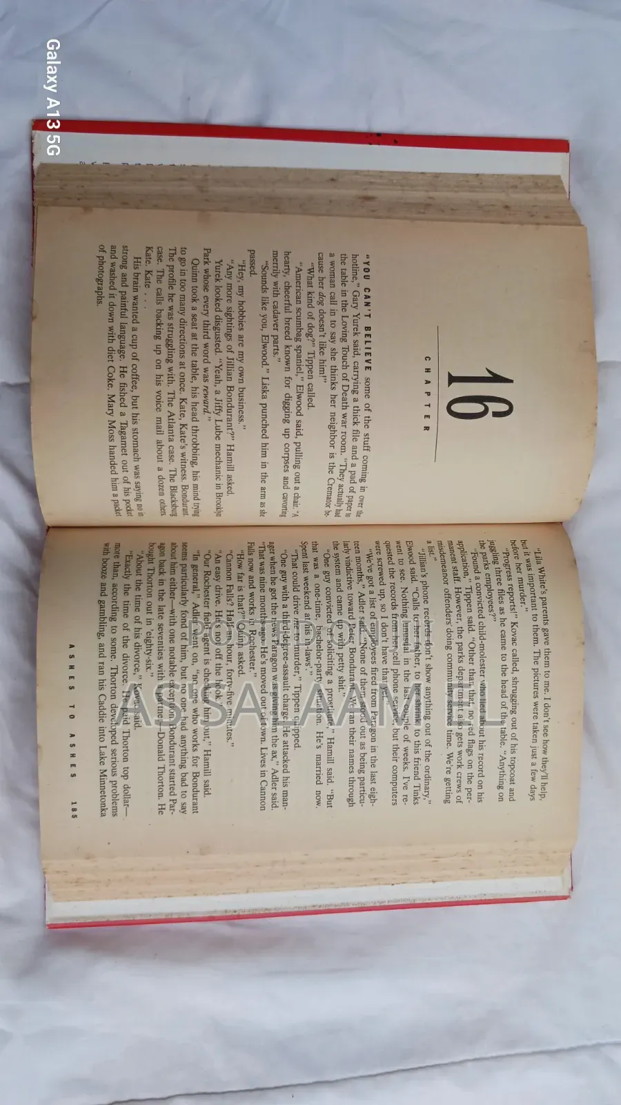 Ashes to Ashes – Tami Hoag (Used, Good Condition)
