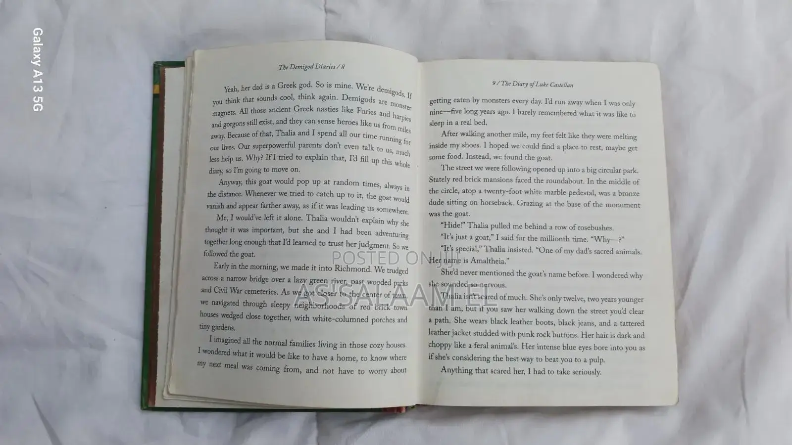 The Demigod Diaries – Rick Riordan (Used, Good Condition)