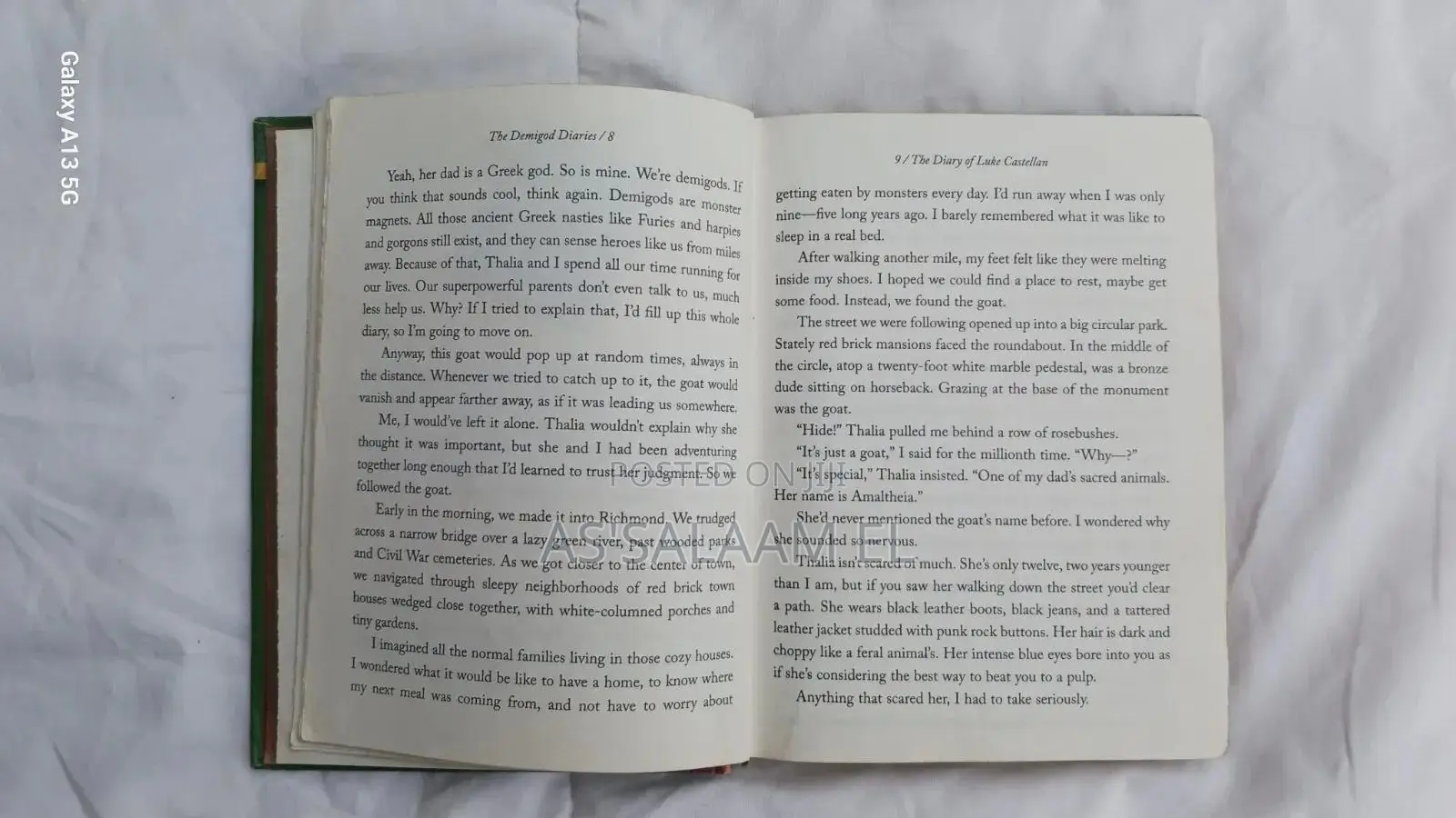 The Demigod Diaries – Rick Riordan (Used, Good Condition)
