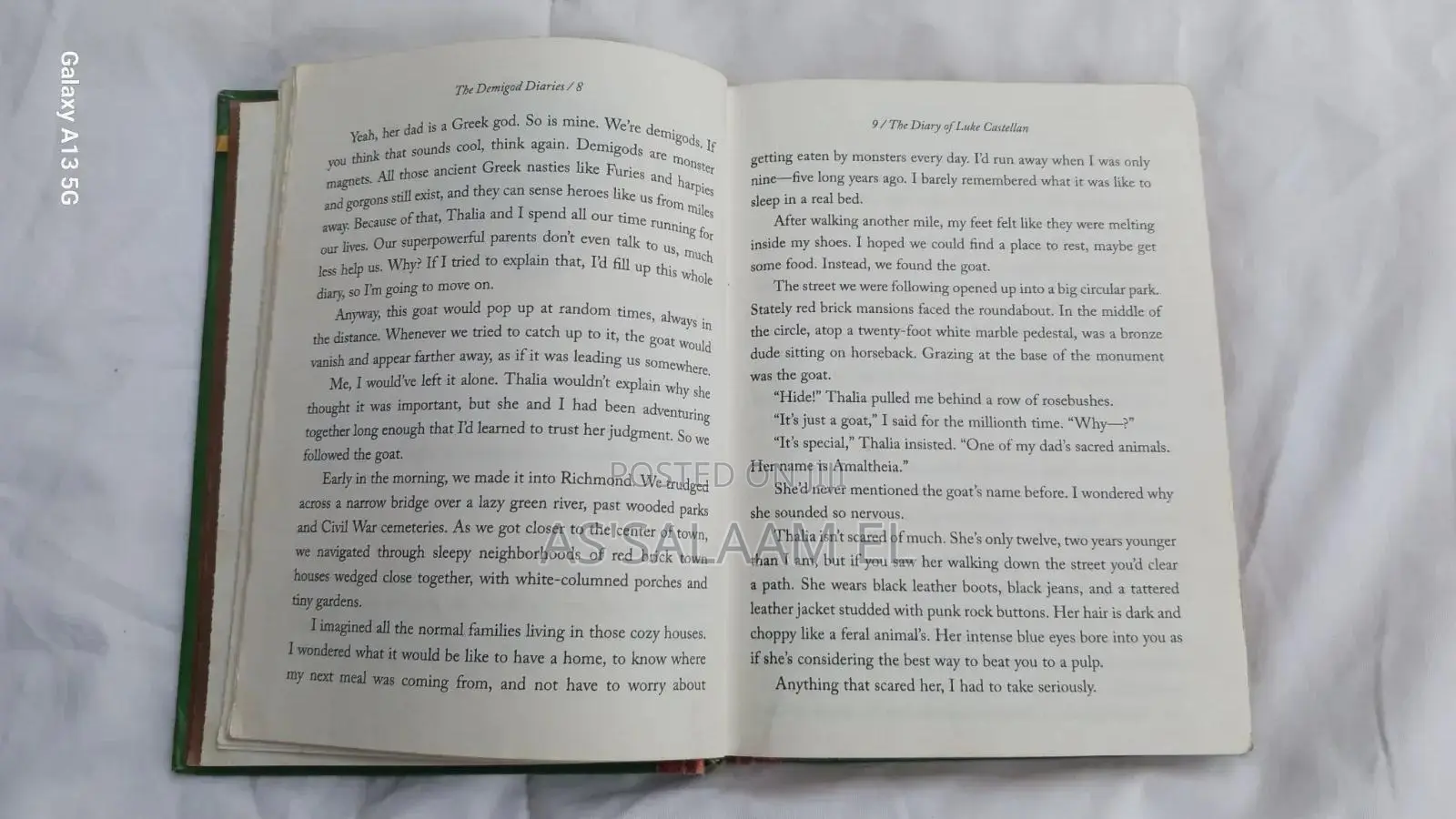 The Demigod Diaries – Rick Riordan (Used, Good Condition)