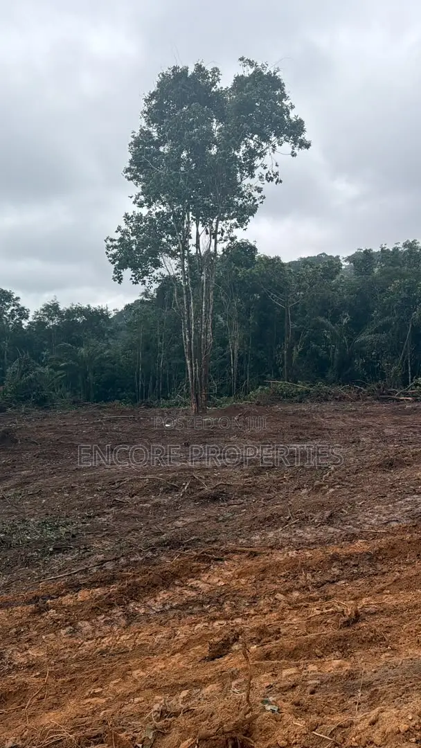 Registered-Acre Plots of Land in Aburi