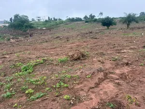 Own Land in a Fast-Growing Location