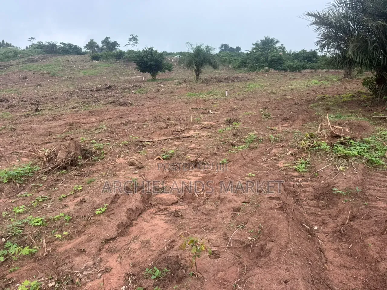 Own Land in a Fast-Growing Location