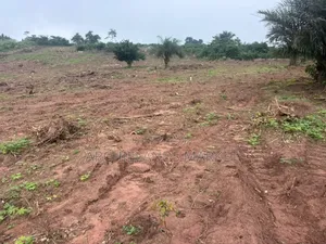 Own Land in a Fast-Growing Location