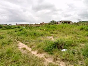 Own a Peaceful Land at Amasaman- Danchira
