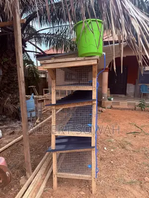 15 Rooms Modern Wooden Rabbit and Grasscutter Cage