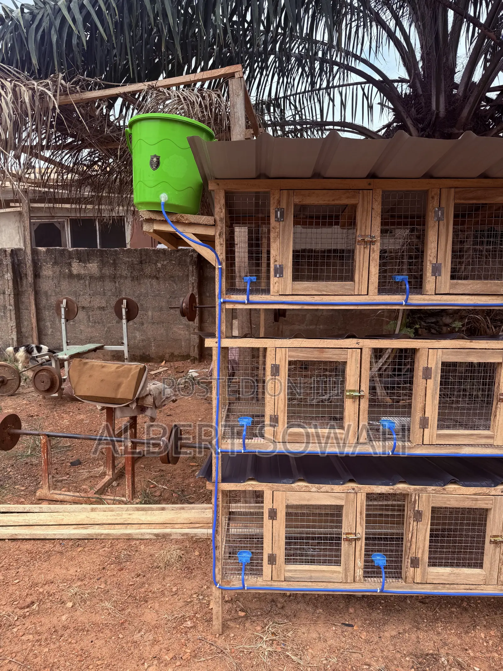 15 Rooms Modern Wooden Rabbit and Grasscutter Cage