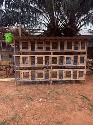 15 Rooms Modern Wooden Rabbit and Grasscutter Cage