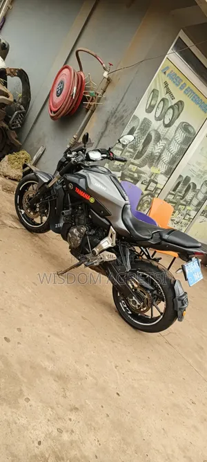Yamaha FZ 2018 Gray