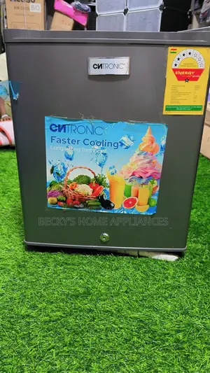 Bed Side Fridge
