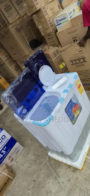 Standard Twin Tab 12kg Washing Machine Roch Brand for Sale