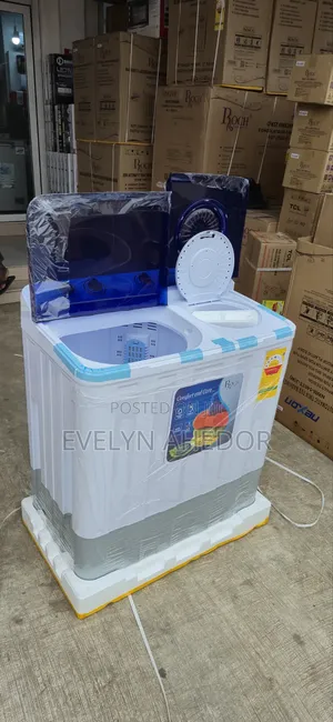 Standard Twin Tab 12kg Washing Machine Roch Brand for Sale