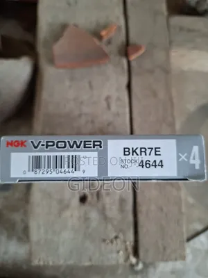 NGK Spark Plugs