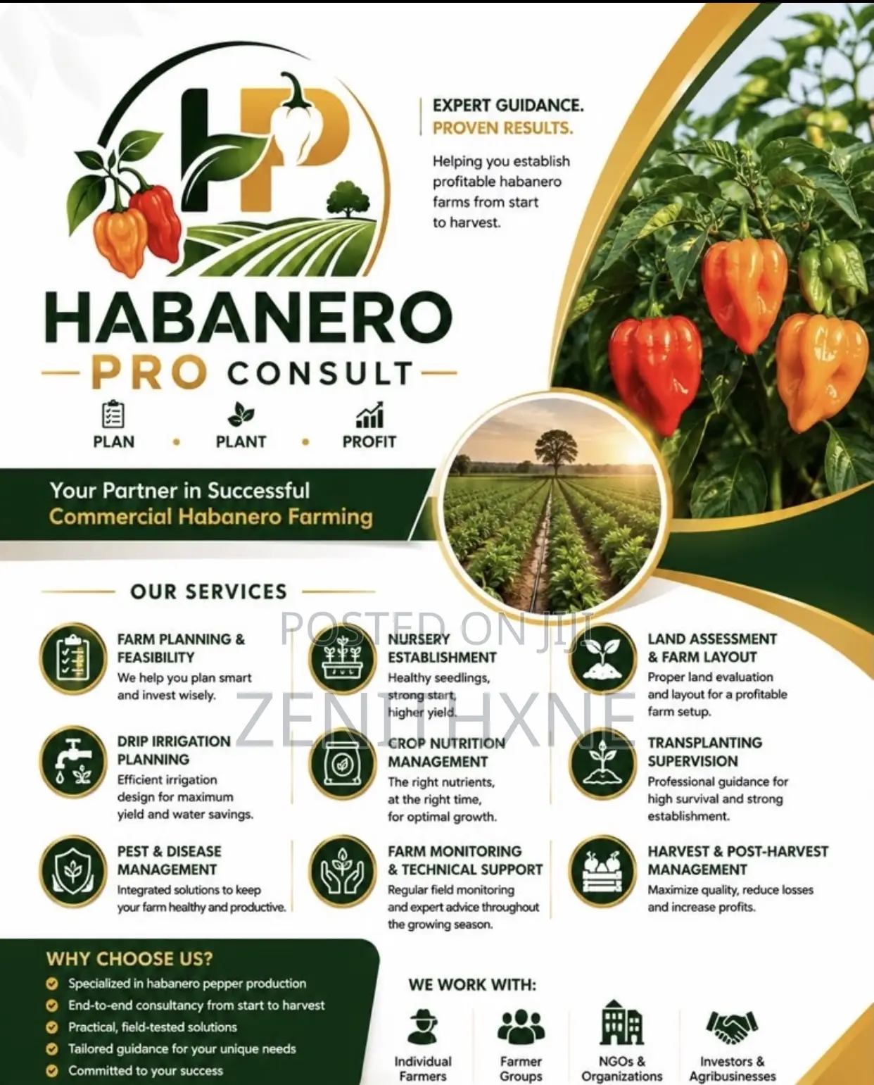 Habanero Pro Consult