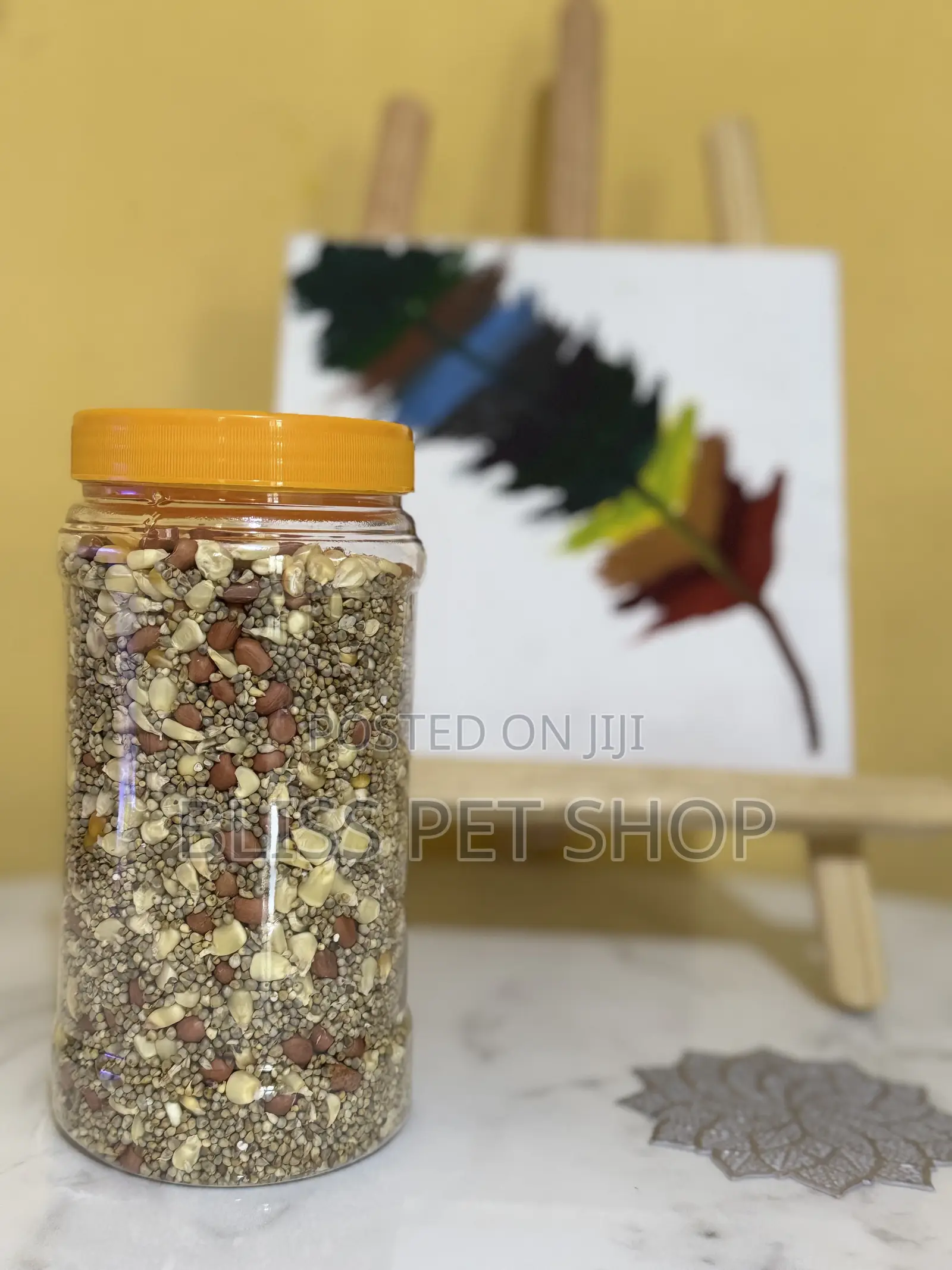 Parrot Food Seeds