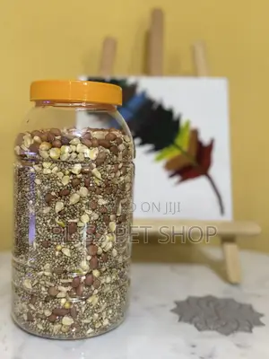 Parrot Food Seeds