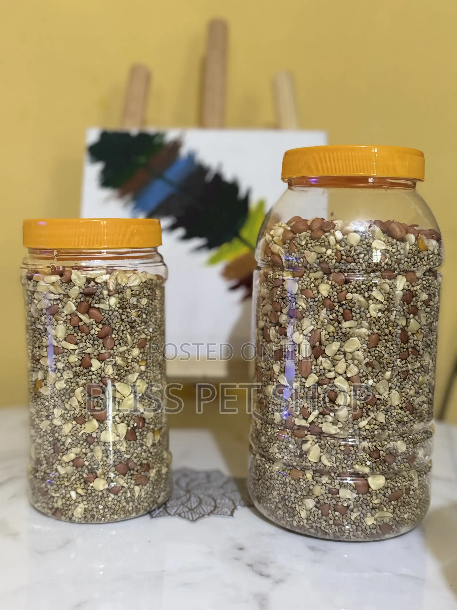 Parrot Food Seeds