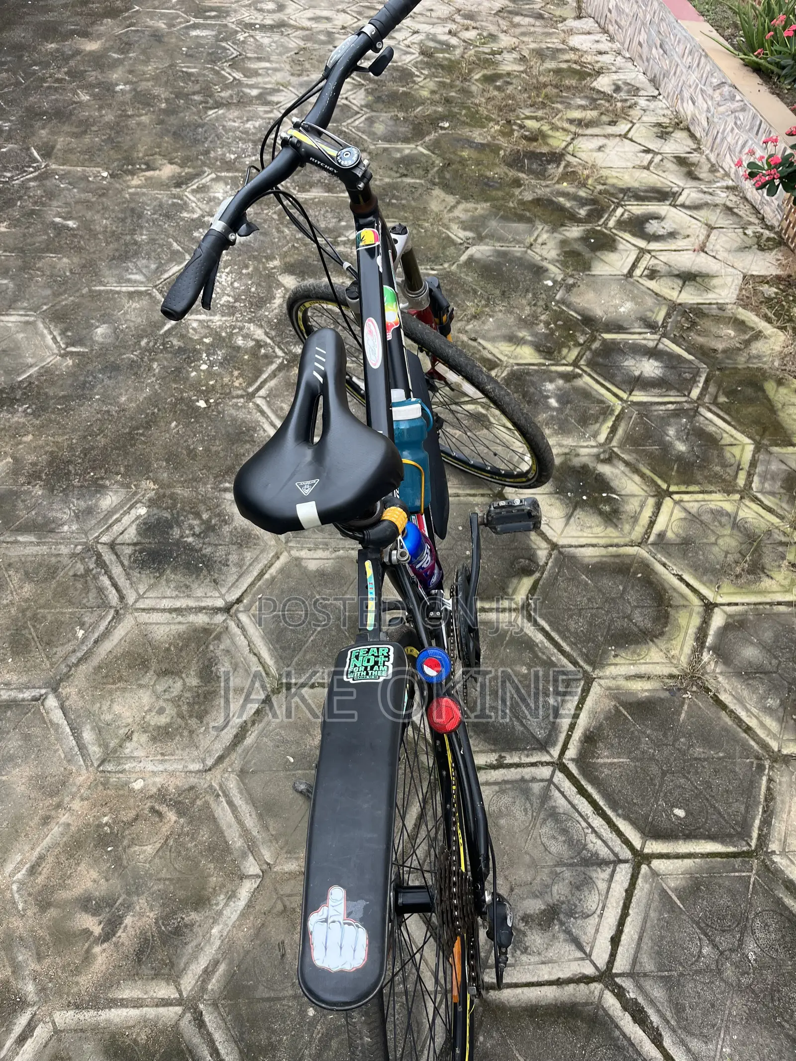 Mountain Bike