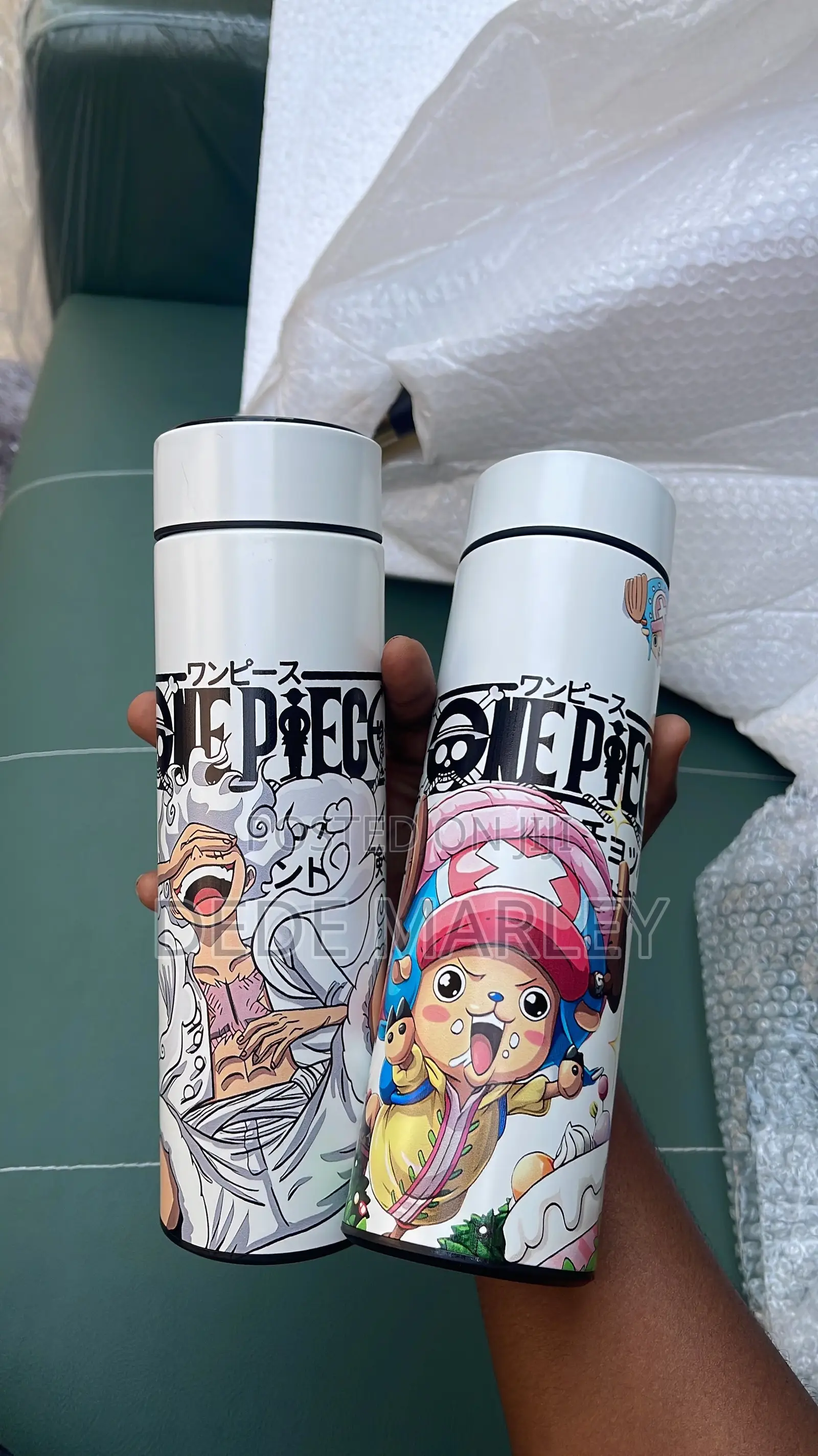 One Piece Thermo Flask
