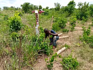 Multi Purpose Land at Amasaman- Danchira