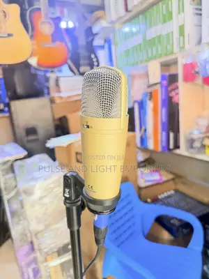 Behringer C-3 Studio Condenser Microphone