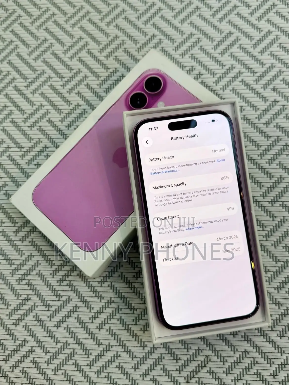 Apple iPhone 16 Plus 256 GB Pink