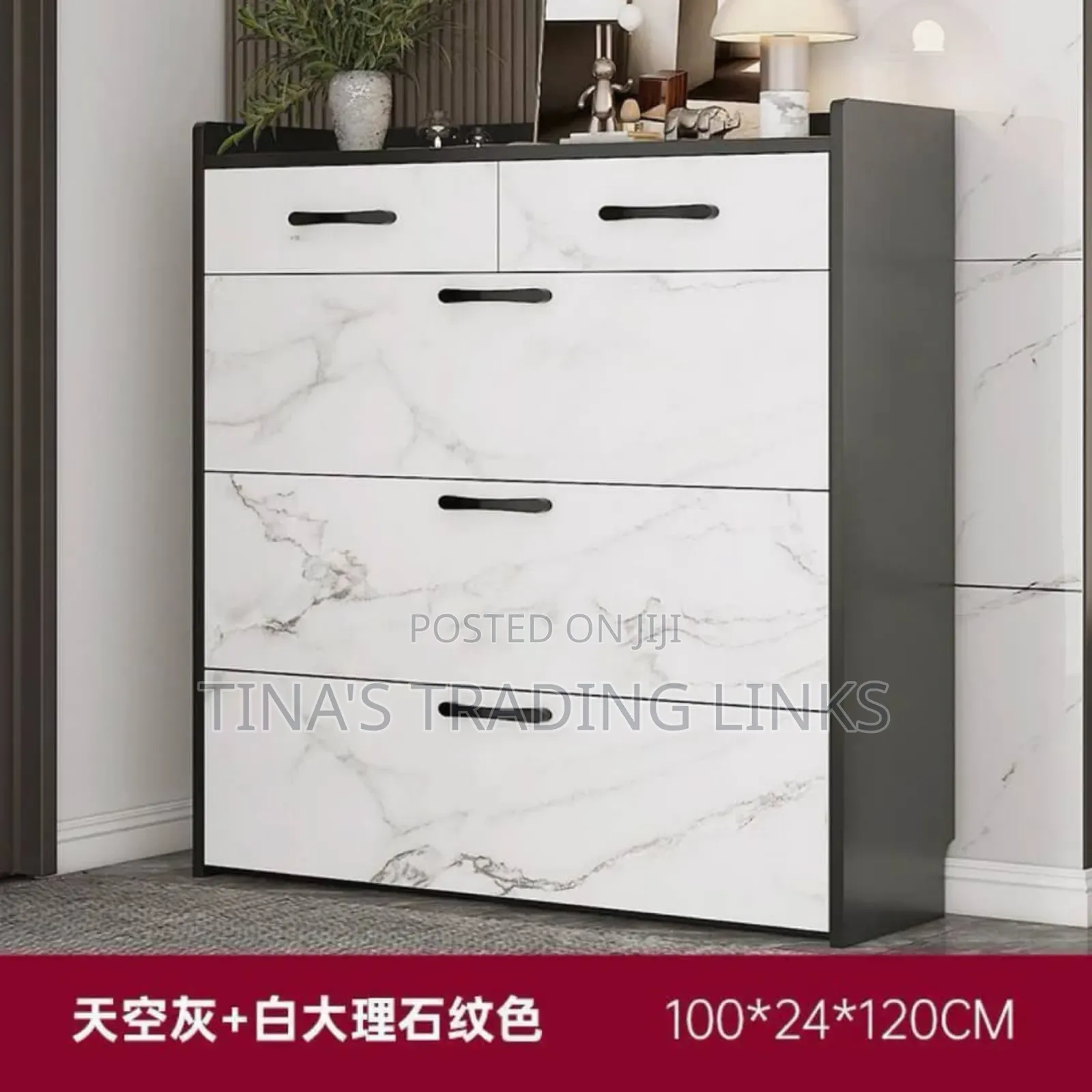 Modern Shoe Cabinet