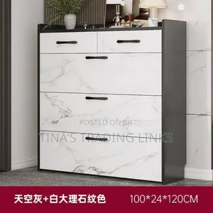 Modern Shoe Cabinet
