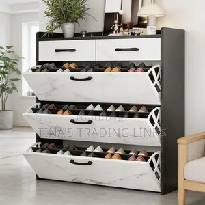 Modern Shoe Cabinet
