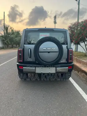 New Haval Menglong 2025 Gray