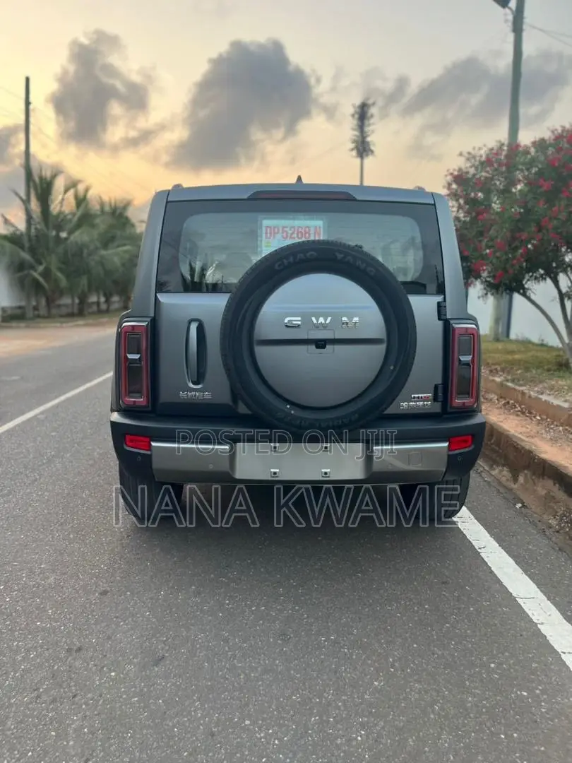 New Haval Menglong 2025 Gray